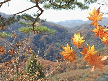 北京首都遷移最新消息，歷史變遷與未來發(fā)展展望