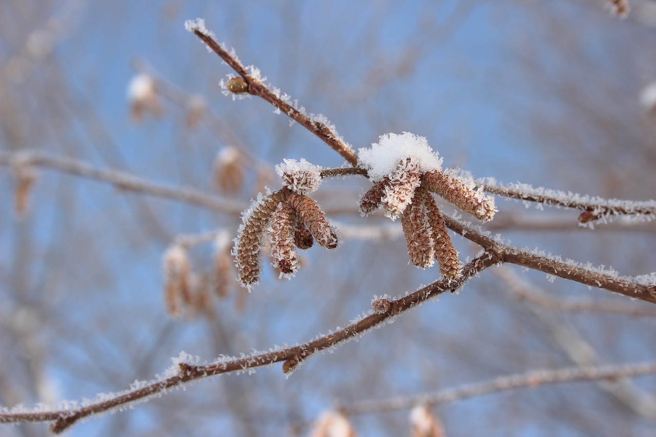 夏染雪最新作品，探索文學(xué)的新境界