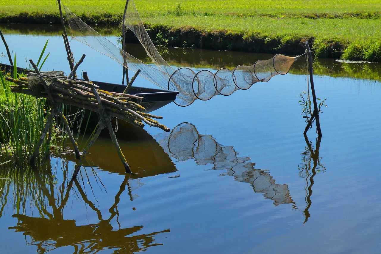 江蘇牧魚(yú)科技，引領(lǐng)未來(lái)漁業(yè)科技的先驅(qū)力量